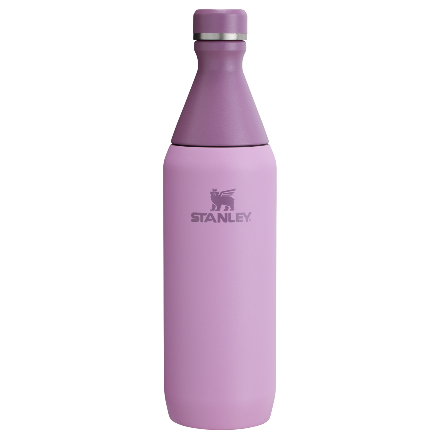 All Day Slim Bottle | 20 OZ - Stanley Create
