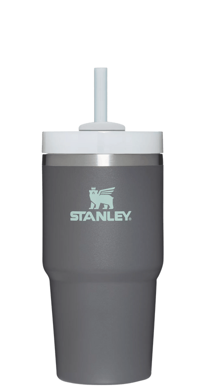 The Quencher H2.0 FlowState™ Tumbler | 20 OZ - Stanley Create